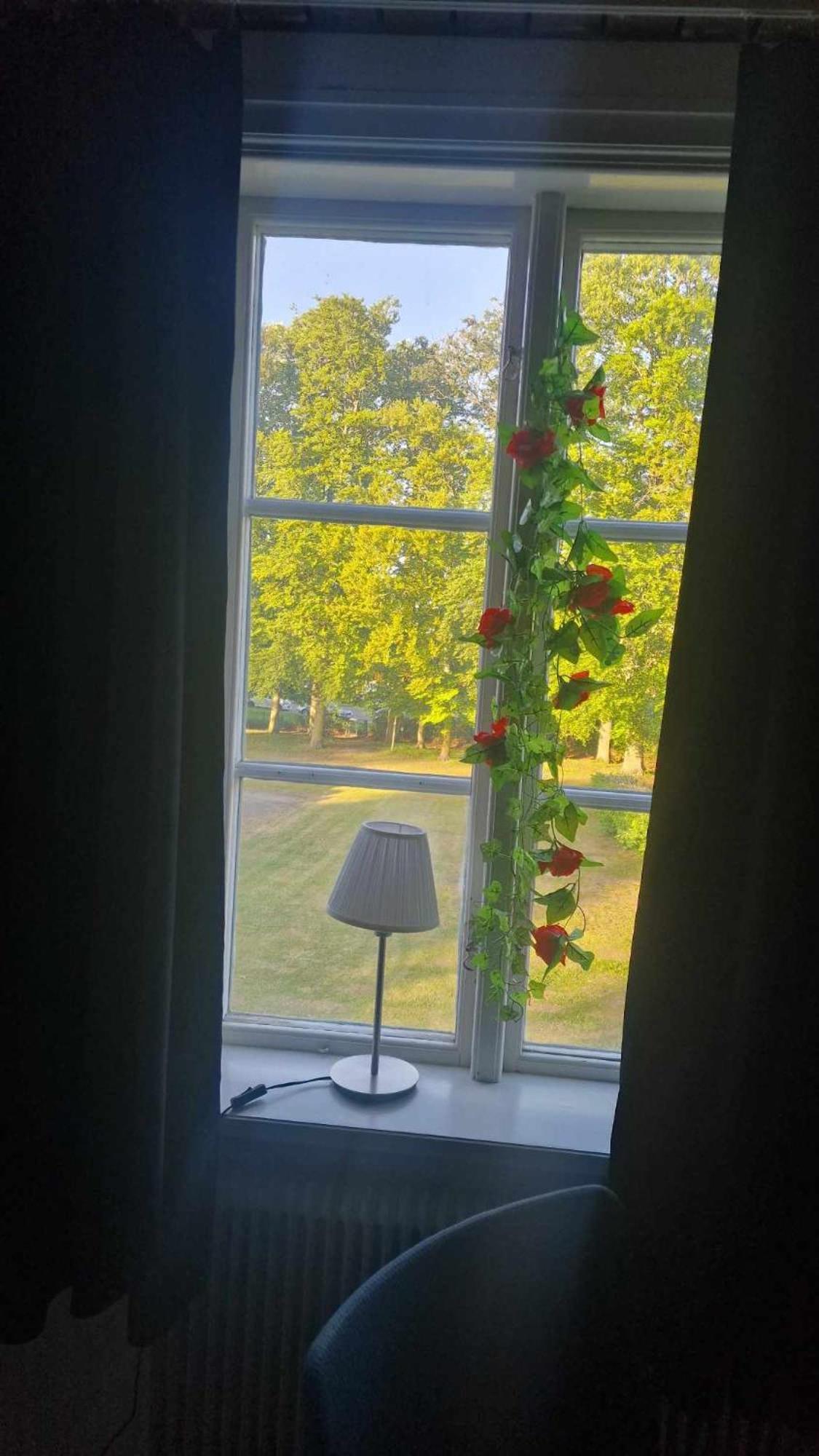 Charlottsborgs Camping Och Vandrarhem Kristianstad Exteriör bild